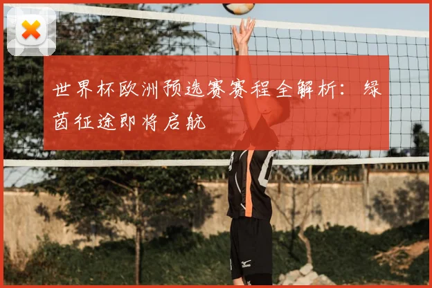 世界杯欧洲预选赛赛程全解析：绿茵征途即将启航