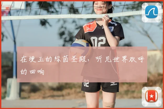 在埂玉的绿茵圣殿,听见世界欢呼的回响
