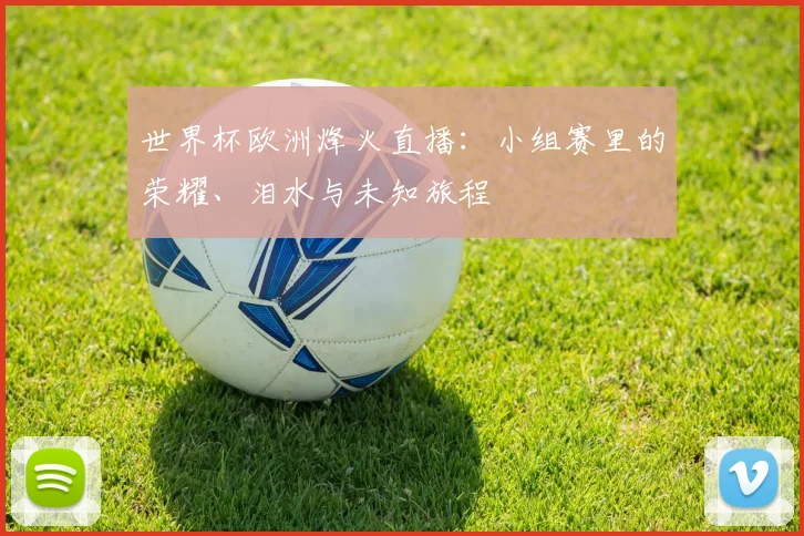 世界杯欧洲烽火直播：小组赛里的荣耀、泪水与未知旅程