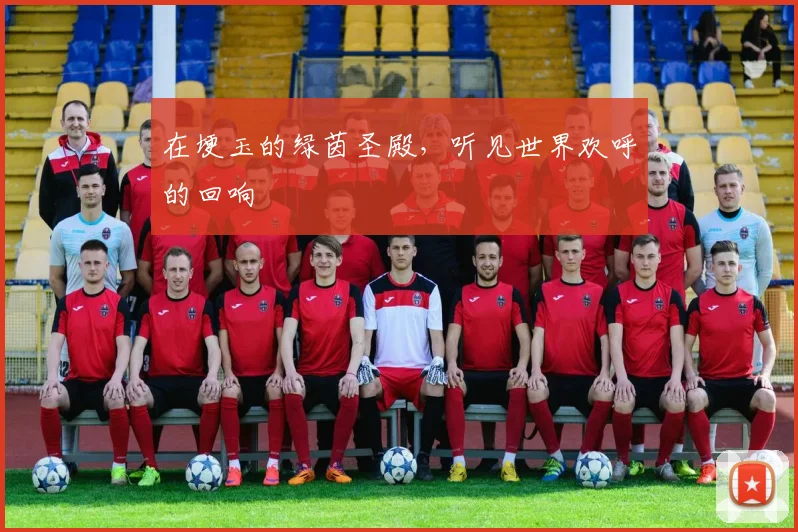 在埂玉的绿茵圣殿,听见世界欢呼的回响